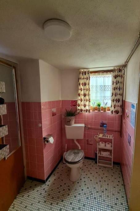Idyllische Kleine Ferienwohnung Im Schwarzwald Friedenweiler Zewnętrze zdjęcie